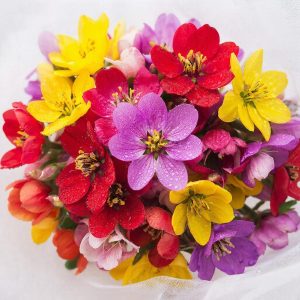 Сезонность цветов и её влияние на доставку: что заказывать и когда